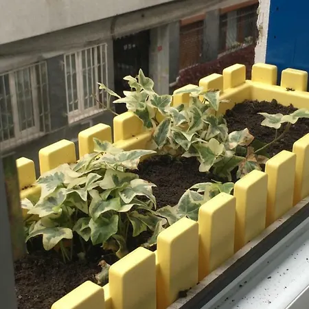 Taksim Triplex איסטמבול